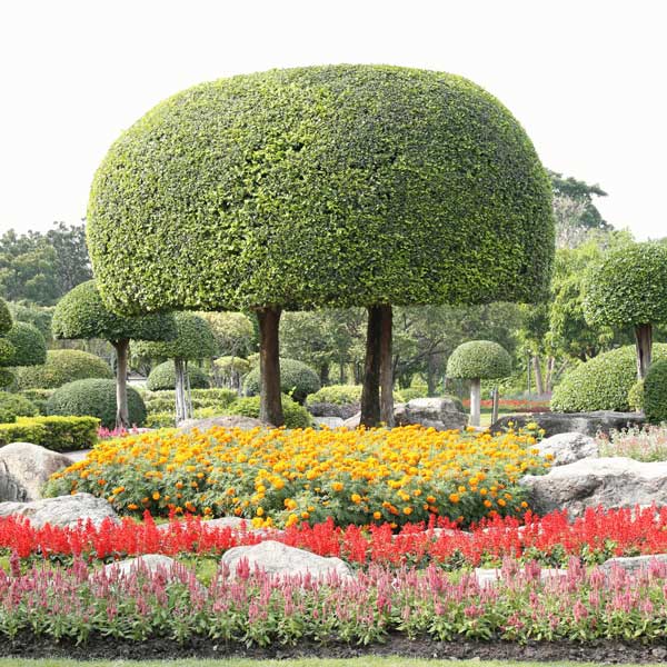 découvrez l'importance de la garantie décennale pour votre abri de jardin. protégez votre investissement contre les défauts de construction et assurez-vous d'une tranquilité d'esprit pendant dix ans. informez-vous sur les options disponibles et les garanties légales pour profiter pleinement de votre espace extérieur.